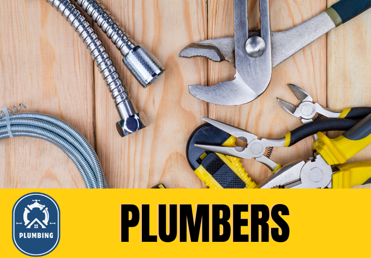  plumber Flanshaw